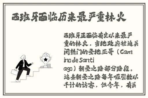 91久久精品无码一区二区毛片