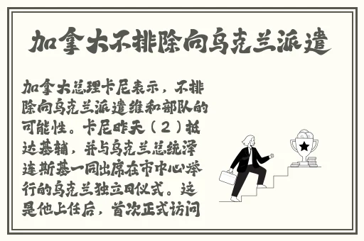 桃红色aj界入口